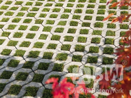 Zatrávňovacia dlažba 10 cm